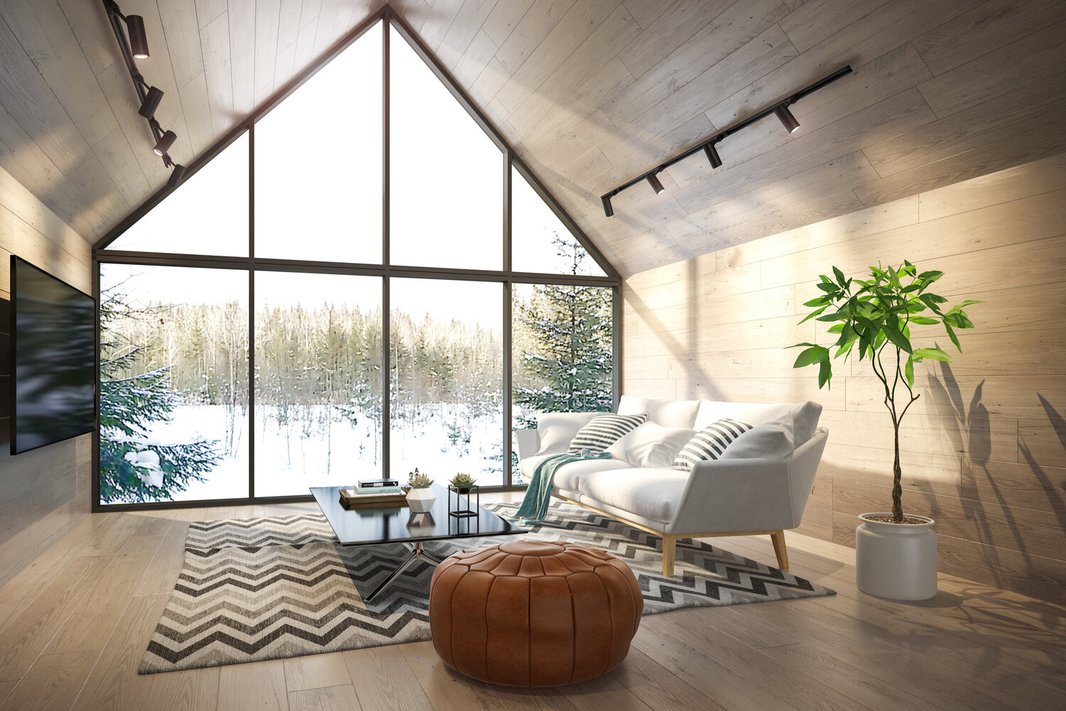 Garage Conversion